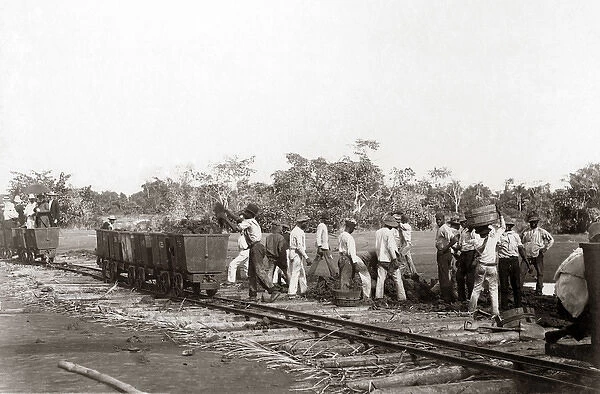 Loading pitch on cars, Trinidad, West Indies, circa 1900