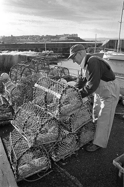 Lobster fisherman with pots on the harbour at Portstewart, N