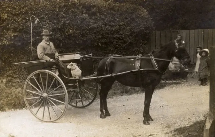 Framed Print : The Local Country Squire - out for a ride in his trap Framed Print : The Local Country Squire - out for a ride in his trap