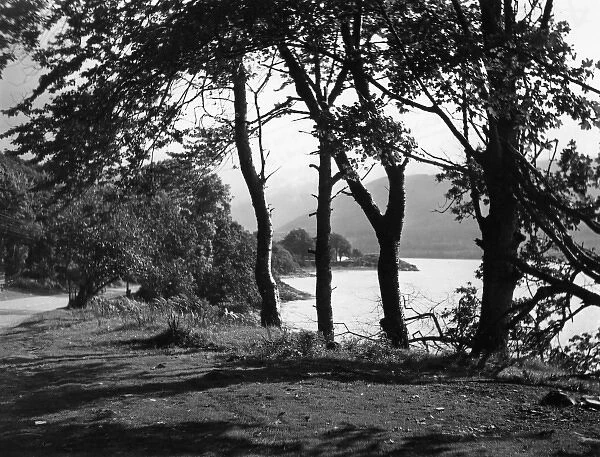 LOCH FYNE. A view beside Loch Fyne, Argyllshire, Scotland. Date: 1950s