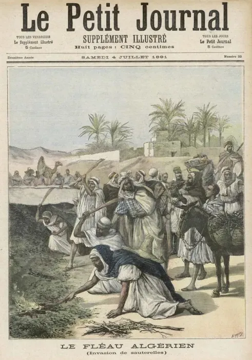 Framed Print : Locust Plague Algeria Framed Print : Locust Plague Algeria