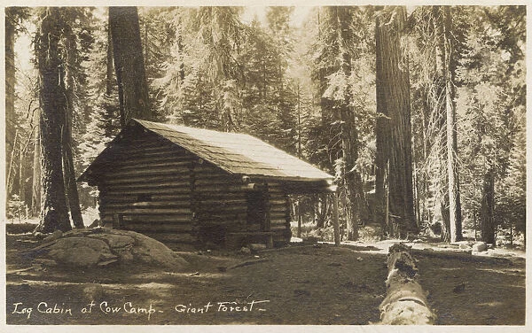 Log Cabin, Cow Camp, Giant Forest, California, USA