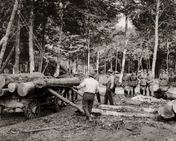 Framed Print : Loggers at work in France, Western Front, WW1 Framed Print : Loggers at work in France, Western Front, WW1