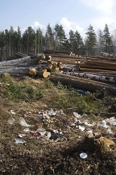 Logging site - rubbish left by loggers - stacked