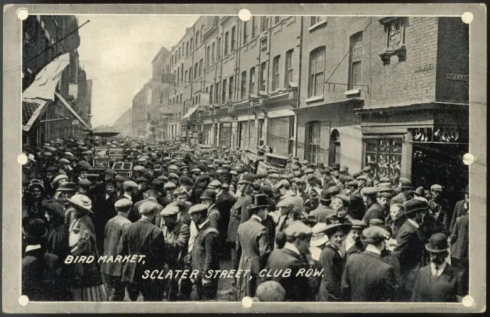 Framed Print : London Bird Market Framed Print : London Bird Market