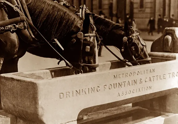 Framed Print : London horse trough Framed Print : London horse trough