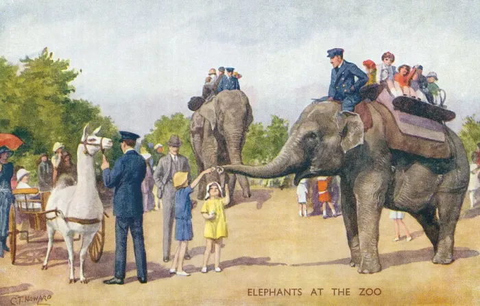 Framed Print : London Zoo Framed Print : London Zoo