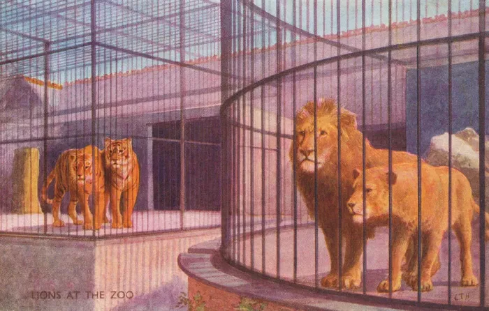 Framed Print : London Zoo Framed Print : London Zoo