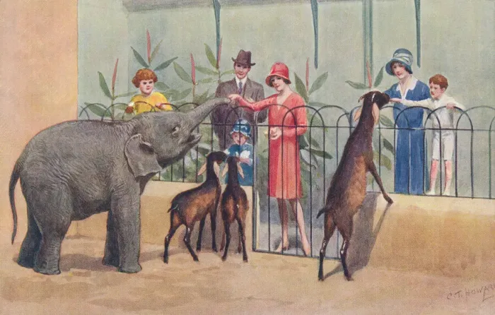 Framed Print : London Zoo Framed Print : London Zoo