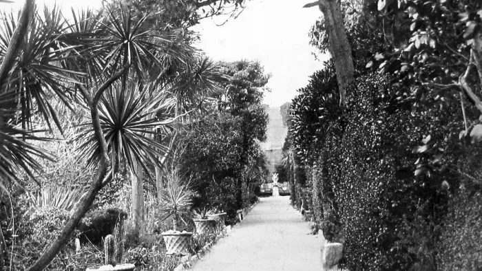 Framed Print : The Long Walk, Tresco Abbey, Isles of Scilly Framed Print : The Long Walk, Tresco Abbey, Isles of Scilly
