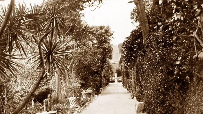 Framed Print : The Long Walk, Tresco Abbey, Isles of Scilly Framed Print : The Long Walk, Tresco Abbey, Isles of Scilly