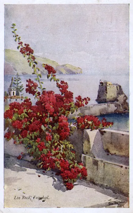 Framed Print : Loo Rock, Funchal, Madeira, with red flowers Framed Print : Loo Rock, Funchal, Madeira, with red flowers