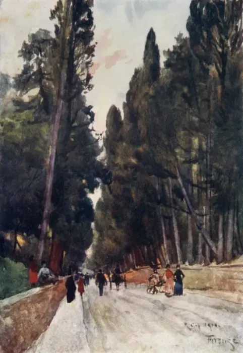 Framed Print : Looking down Cypress Avenue of Poggio Imperiale, Florence Framed Print : Looking down Cypress Avenue of Poggio Imperiale, Florence