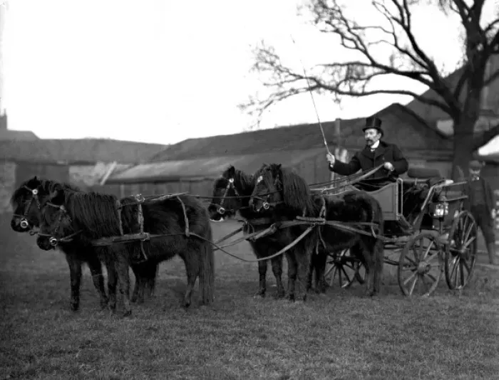 Framed Print : Lord George Sanger with his ponies Framed Print : Lord George Sanger with his ponies