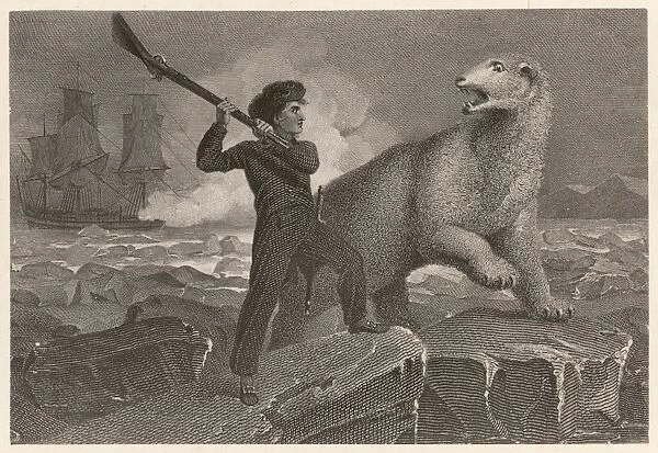 Lord Nelson  /  Polar Bear