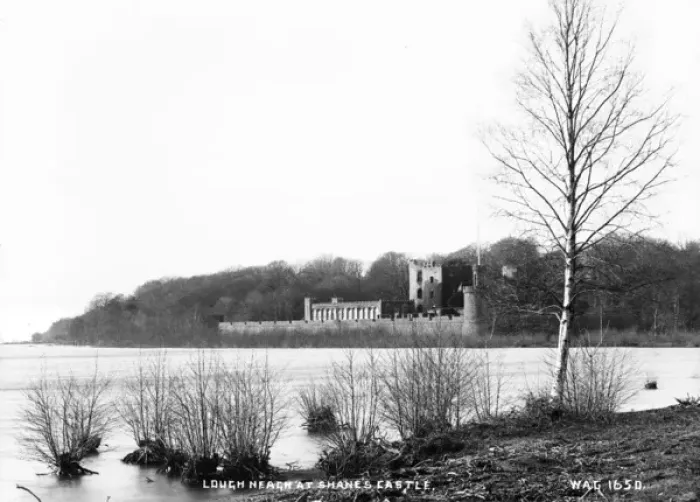 Framed Print : Lough Neagh at Shanes Castle Framed Print : Lough Neagh at Shanes Castle