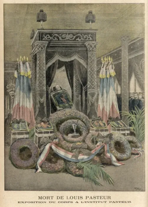 Framed Print : Louis Pasteur Framed Print : Louis Pasteur