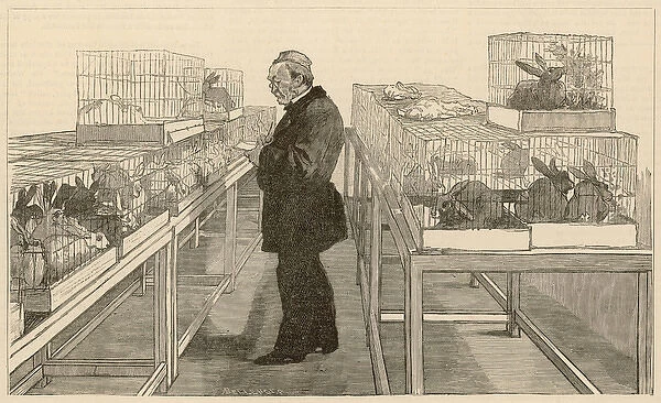 Louis Pasteur  /  Iln 1884