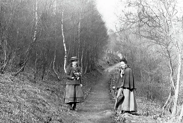 Lovers Walk, Cannock Chase, Victorian period