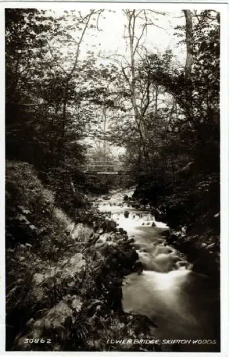 Framed Print : Lower Bridge, Skipton Woods, Yorkshire Framed Print : Lower Bridge, Skipton Woods, Yorkshire
