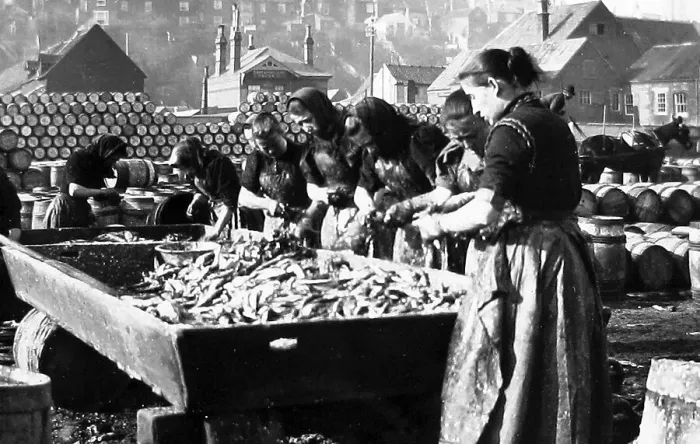 Framed Print : Lowestoft Fish Girls early 1900s Framed Print : Lowestoft Fish Girls early 1900s
