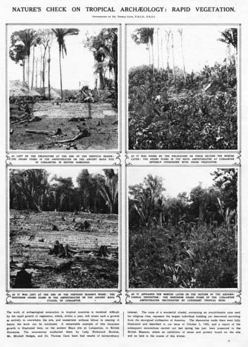 Framed Print : Lubaantun archaeology - rapid tropical growth Framed Print : Lubaantun archaeology - rapid tropical growth