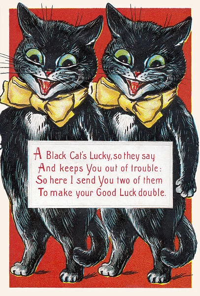 Lucky black cats. Two lucky black cats with a Good Luck message