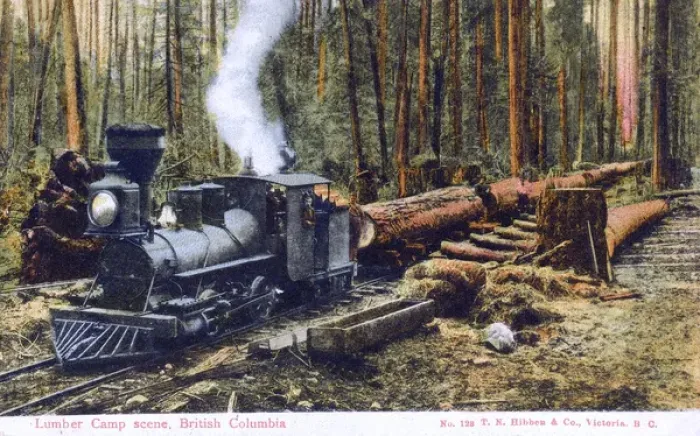 Framed Print : Lumber Camp scene - Train - British Columbia, Canada Framed Print : Lumber Camp scene - Train - British Columbia, Canada