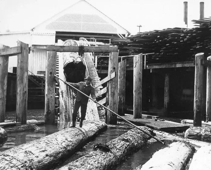 Framed Print : Lumber Mill Washington USA early 1900s Framed Print : Lumber Mill Washington USA early 1900s