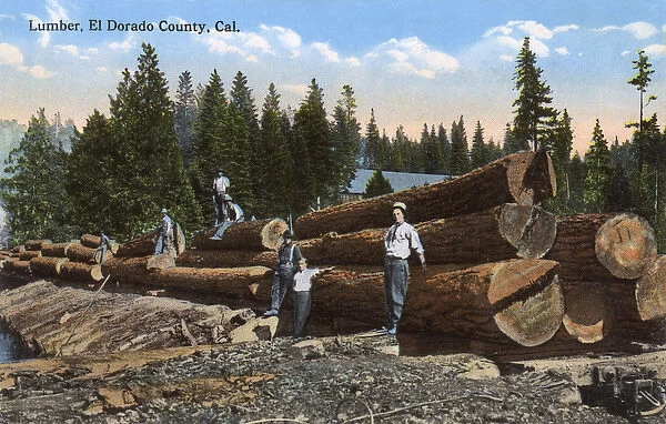 Lumber workers in El Dorado County, California, USA