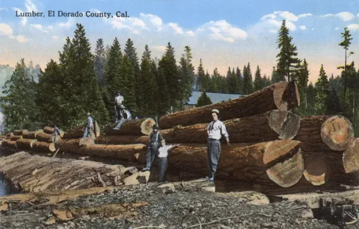 Framed Print : Lumber workers in El Dorado County, California, USA Framed Print : Lumber workers in El Dorado County, California, USA