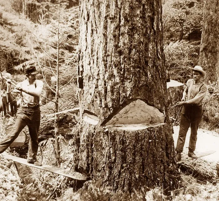 Framed Print : Lumberjacks Washington State USA early 1900s Framed Print : Lumberjacks Washington State USA early 1900s