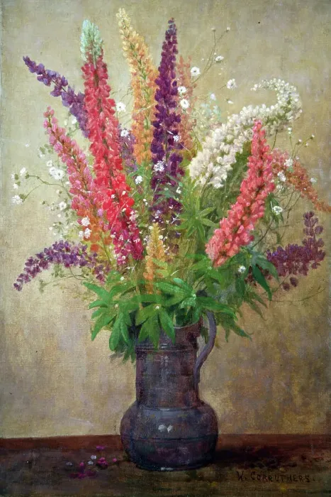 Framed Print : Lupins. Flower arrangement - Lupins Date: 1930s Framed Print : Lupins. Flower arrangement - Lupins Date: 1930s