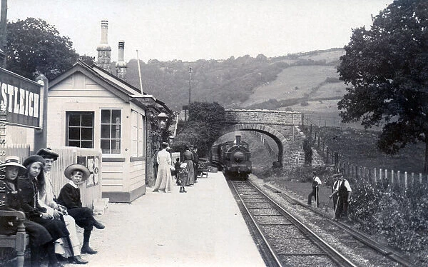 Lustleigh Village Station, Devon
