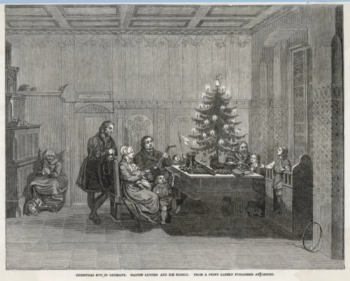 Framed Print : Luther and Tree Framed Print : Luther and Tree