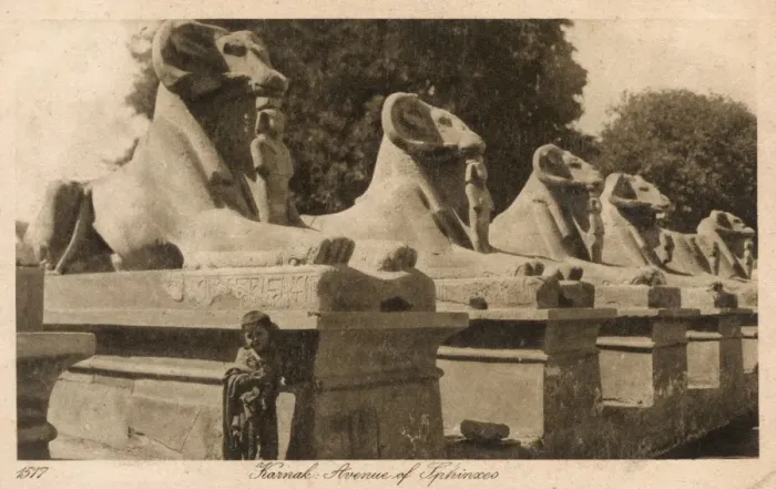 Framed Print : Luxor, Karnak, Egypt - Avenue of the ram-headed Sphinxes Framed Print : Luxor, Karnak, Egypt - Avenue of the ram-headed Sphinxes