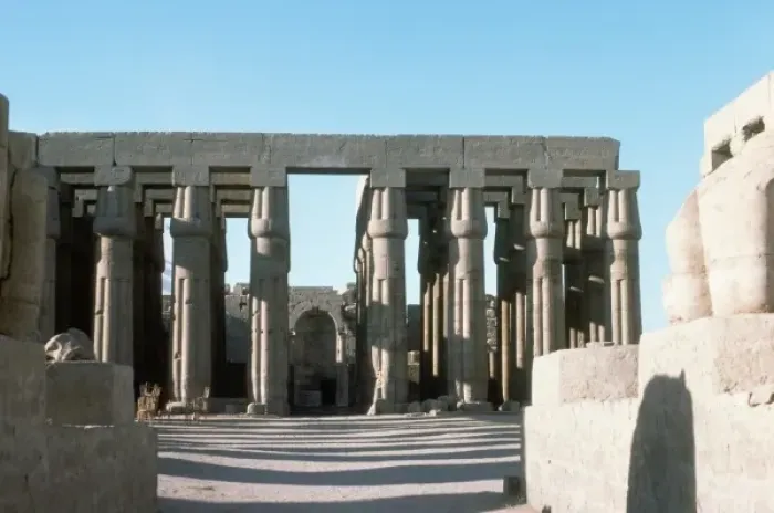 Framed Print : Luxor Temple Columns Framed Print : Luxor Temple Columns