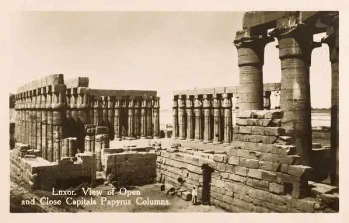 Framed Print : Luxor Temple Complex - Papyrus Columns of Amenhotep III