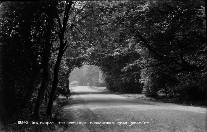 Framed Print : The Lyndhurst-Bournemouth Road in New Forest Framed Print : The Lyndhurst-Bournemouth Road in New Forest