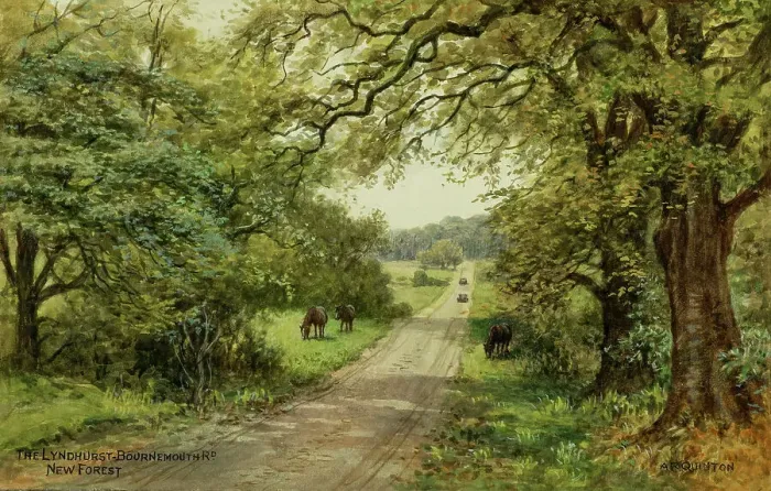 Framed Print : Lyndhurst to Bournemouth road, New Forest, Hampshire