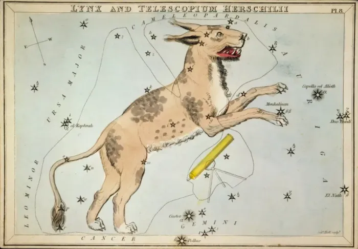 Framed Print : Lynx and Telescopium Herschilii