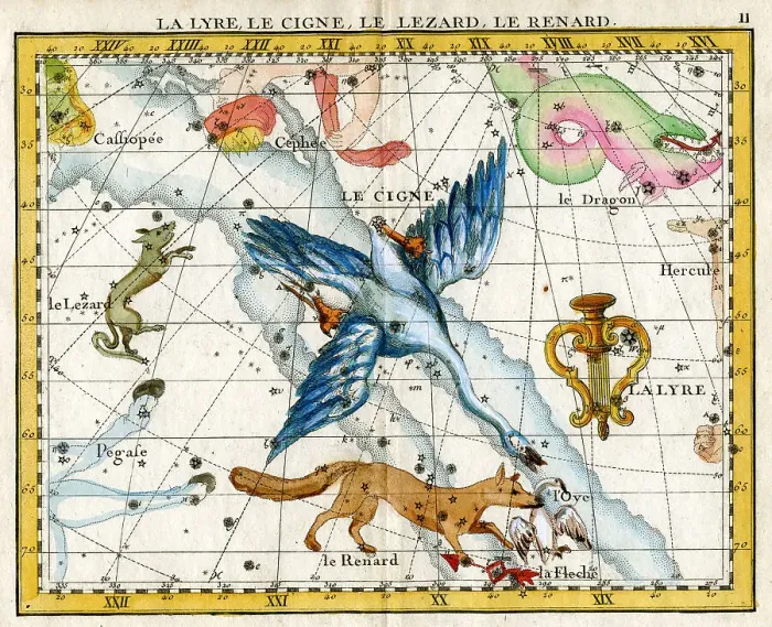 Framed Print : Lyre, Cygne (Swan), Lizard, Fox Framed Print : Lyre, Cygne (Swan), Lizard, Fox
