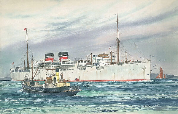 M V Highland Monarch Nelson Line Shipping Watercolour