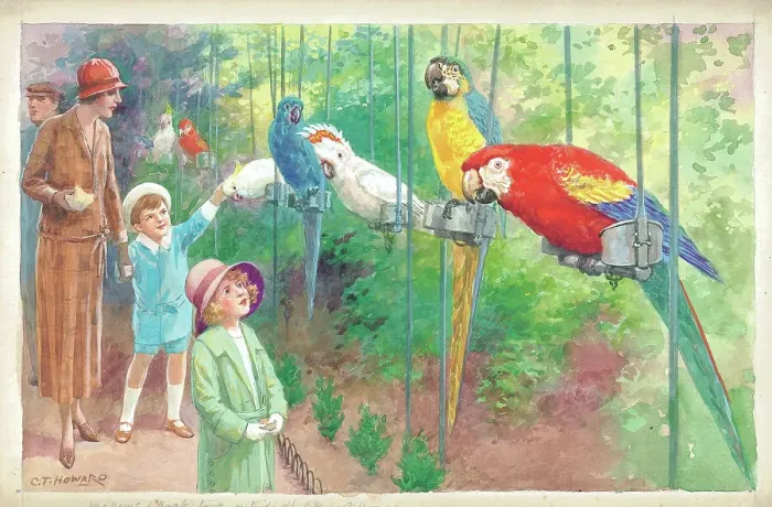 Framed Print : Macaws and Cockatoos outside the Parrot House at London Zoo Framed Print : Macaws and Cockatoos outside the Parrot House at London Zoo