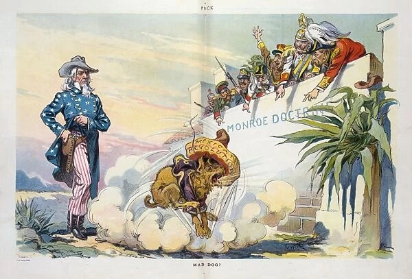 Mad dog?. Illustration shows a dog wearing a sombrero labeled Mexican Revolution jumping