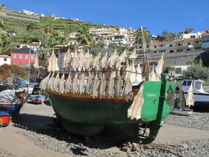Framed Print : Madeira, Camara de Lobos - Fishing boat - drying fish Framed Print : Madeira, Camara de Lobos - Fishing boat - drying fish