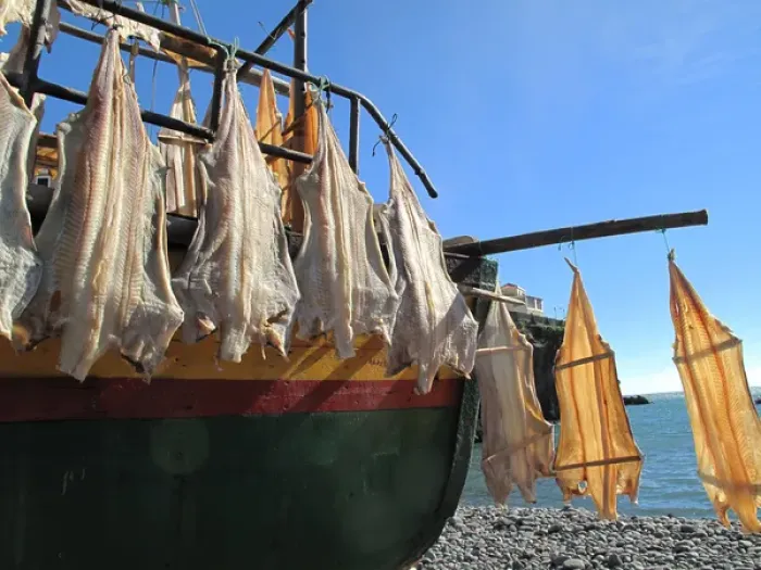 Framed Print : Madeira, Camara de Lobos - Fishing boat - drying fish Framed Print : Madeira, Camara de Lobos - Fishing boat - drying fish