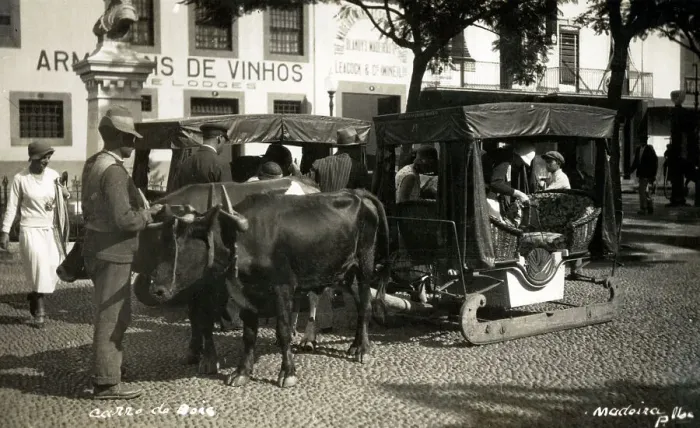 Framed Print : Madeira, Funchal - Oxen carriage Framed Print : Madeira, Funchal - Oxen carriage