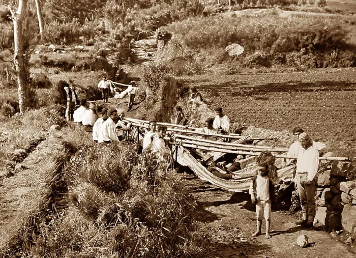 Framed Print : Madeira hammock men Framed Print : Madeira hammock men