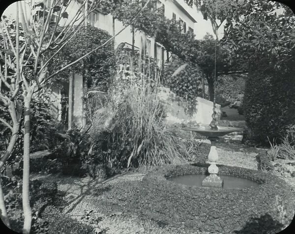 Madeira, view in garden of hotel